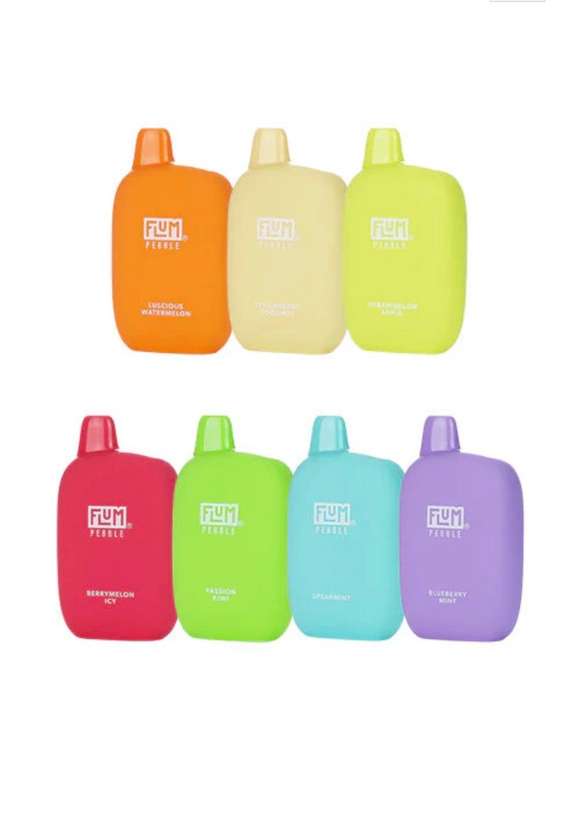 Vape Joint Flum Pebble 6000 puffs Variety Pack (10 pcs)